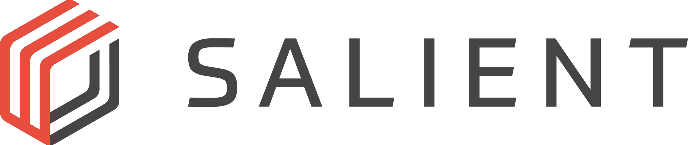 Salient Systems